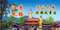 日本黄带大鸡吧江苏无锡灵山大佛旅游风景区